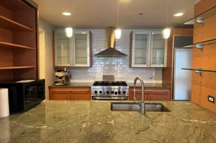 445 E North Water St, Chicago, IL 60611 - Photo 6