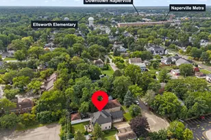 830 N Sleight St, Naperville, IL 60563 - Photo 42
