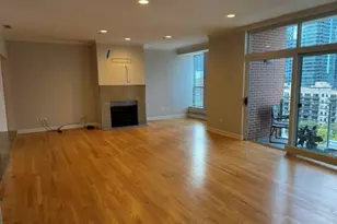 445 E North Water St, Chicago, IL 60611 - Photo 4