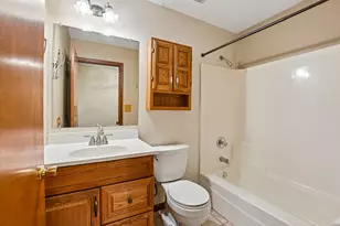 3520 Blue Gill Ct, Morris, IL 60450 - Photo 24