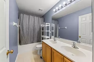 253 Carlton Mews Ct, Sugar Grove, IL 60554 - Photo 26