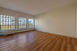 1450 E 55th St, Chicago, IL 60615 - Photo 22