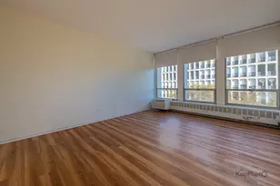 1450 E 55th St, Chicago, IL 60615 - Photo 24