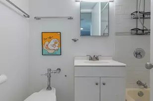 1450 E 55th St, Chicago, IL 60615 - Photo 28