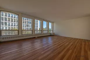 1450 E 55th St, Chicago, IL 60615 - Photo 6
