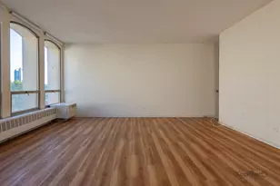 1450 E 55th St, Chicago, IL 60615 - Photo 20