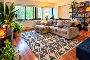 7337 S South Shore Dr, Chicago, IL 60649 - Photo 8