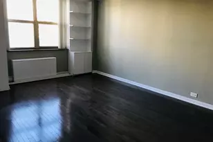 40 E Cedar St, Chicago, IL 60611 - Photo 8