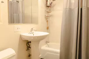 1340 N Dearborn Pkwy, Chicago, IL 60610 - Photo 12