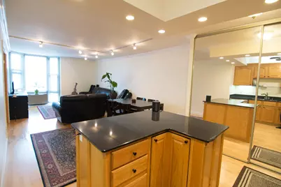 1340 N Dearborn Parkway #8B, Chicago, IL 60610 - Photo 8