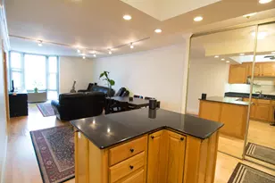 1340 N Dearborn Pkwy, Chicago, IL 60610 - Photo 8