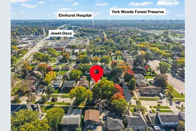 162 E Jackson Street, Elmhurst, IL 60126 - Photo 28