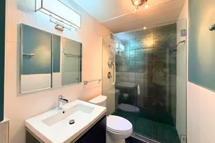 1555 N Sandburg Terrace, Chicago, IL 60610 - Photo 20