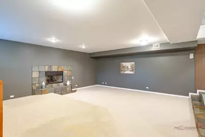 8208 Country Shire Lane, Spring Grove, IL 60081 - Photo 22