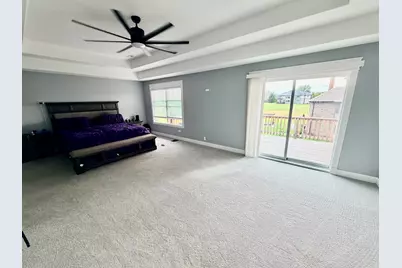 22612 Bear Claw Lane, Frankfort, IL 60423 - Photo 20