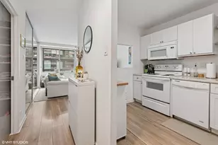 211 E Ohio St, Chicago, IL 60611 - Photo 10