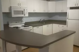 211 E Ohio St, Chicago, IL 60611 - Photo 4