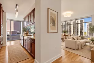 100 E 14th St, Chicago, IL 60605 - Photo 4