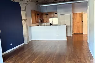 1110 W 15th St, Chicago, IL 60608 - Photo 6