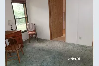 116 N Ford Drive, Ashkum, IL 60911 - Photo 16