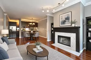 301 W Scott St, Chicago, IL 60610 - Photo 4