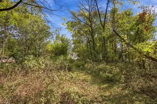 17556 65th Ave, Tinley Park, IL 60477 - Photo 38