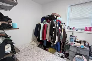 3038 S Emerald St, Chicago, IL 60608 - Photo 12