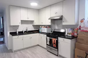 3038 S Emerald St, Chicago, IL 60608 - Photo 16