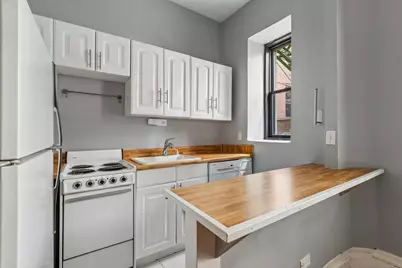 20 E Goethe Street #206, Chicago, IL 60610 - Photo 8