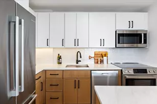 1355 N Sandburg Terrace, Chicago, IL 60610 - Photo 16