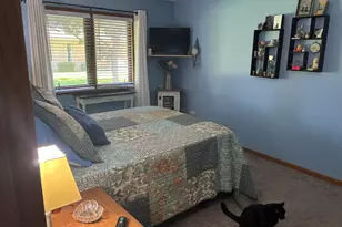 831 Deer Path Ln, Elwood, IL 60421 - Photo 10