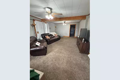 114 W 3rd Street, Mineral, IL 61344 - Photo 4