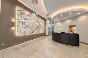 2 E Erie St, Chicago, IL 60611 - Photo 26