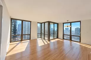 2 E Erie St, Chicago, IL 60611 - Photo 4