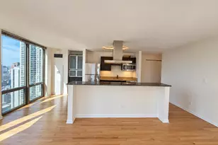 2 E Erie St, Chicago, IL 60611 - Photo 6