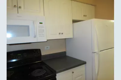 15700 Terrace Drive #1, Oak Forest, IL 60452 - Photo 14
