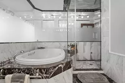 111 E Chestnut Street #46A, Chicago, IL 60611 - Photo 14