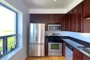 100 N Hermitage Ave, Chicago, IL 60612 - Photo 8