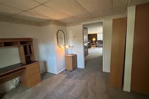 303 S University Ave, Glenwood, IL 60425 - Photo 26