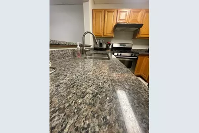 1829 S Carpenter Street #1, Chicago, IL 60608 - Photo 6