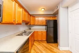 1127 N Christiana Ave, Chicago, IL 60651 - Photo 12