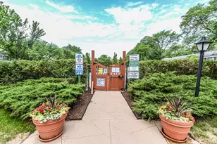 711 E Falcon Dr, Arlington Heights, IL 60005 - Photo 34