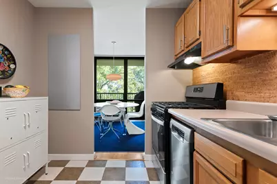 3021 S Michigan Avenue #407, Chicago, IL 60616 - Photo 8