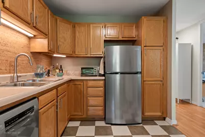 3021 S Michigan Avenue #407, Chicago, IL 60616 - Photo 10