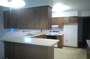 4806 W Main St, Monee, IL 60449 - Photo 14