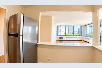 1255 N Sandburg Terrace #812, Chicago, IL 60610 - Photo 8