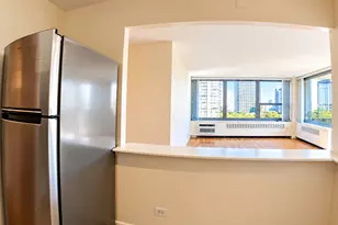 1255 N Sandburg Terrace, Chicago, IL 60610 - Photo 8