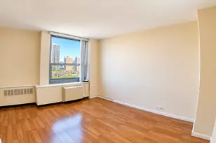 1255 N Sandburg Terrace, Chicago, IL 60610 - Photo 14
