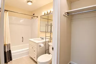1255 N Sandburg Terrace, Chicago, IL 60610 - Photo 12