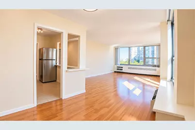 1255 N Sandburg Terrace #812, Chicago, IL 60610 - Photo 4